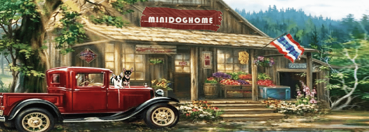 ฟาร์มชิวาวา-ขายชิวาวา-ชิวาวา-ชิวาวาขนสั้น-ชิวาวาขนยาว-มินิด็อกโฮม